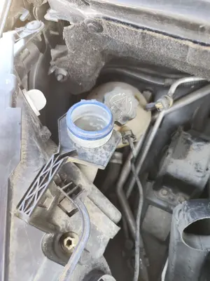 Foto de DEPOSITO LIMPIA CITROEN GRAND C4 PICASSO 1.6 16V HDi FAP (109 CV / 80 KW)
