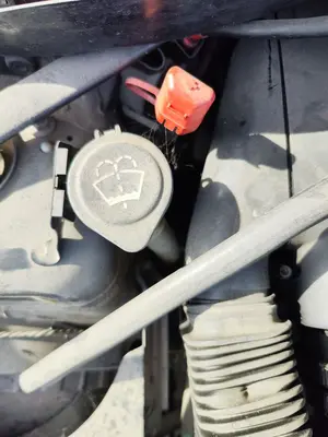 Foto de DEPOSITO LIMPIA BMW SERIE 1 BERLINA (E81/E87) 2.0 16V Diesel CAT (122 CV / 90 KW) referencia 61677238667
