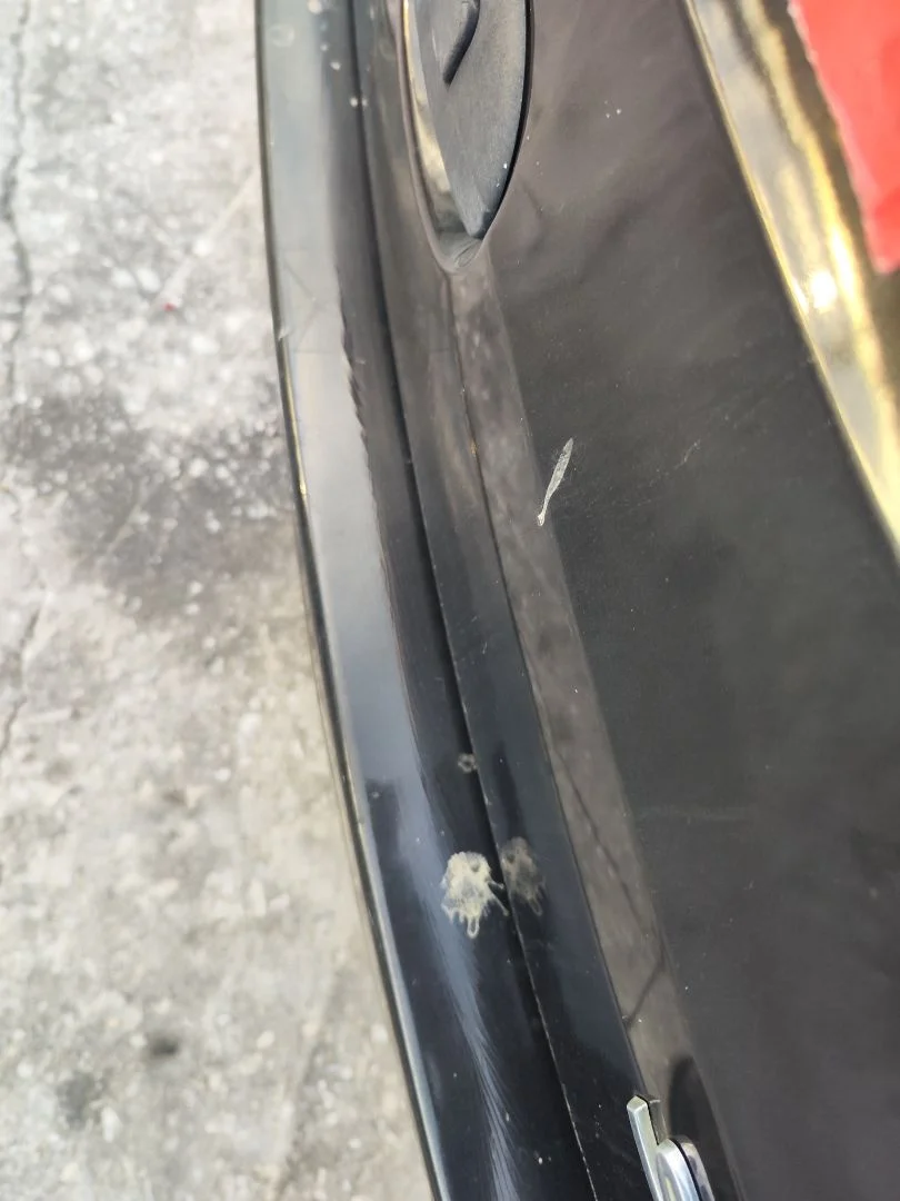 Foto de REFUERZO PARAGOLPES TRASERO RENAULT SCENIC I (JA...) 1.4 CAT (95 CV / 70 KW)