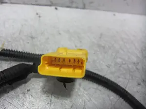 Foto de CABLEADO ELECTRICO PEUGEOT 508 Híbrido 265 kW (1.6 Ltr. - 147 kW) (360 CV / 265 KW) referencia 9820494480 foto 5
