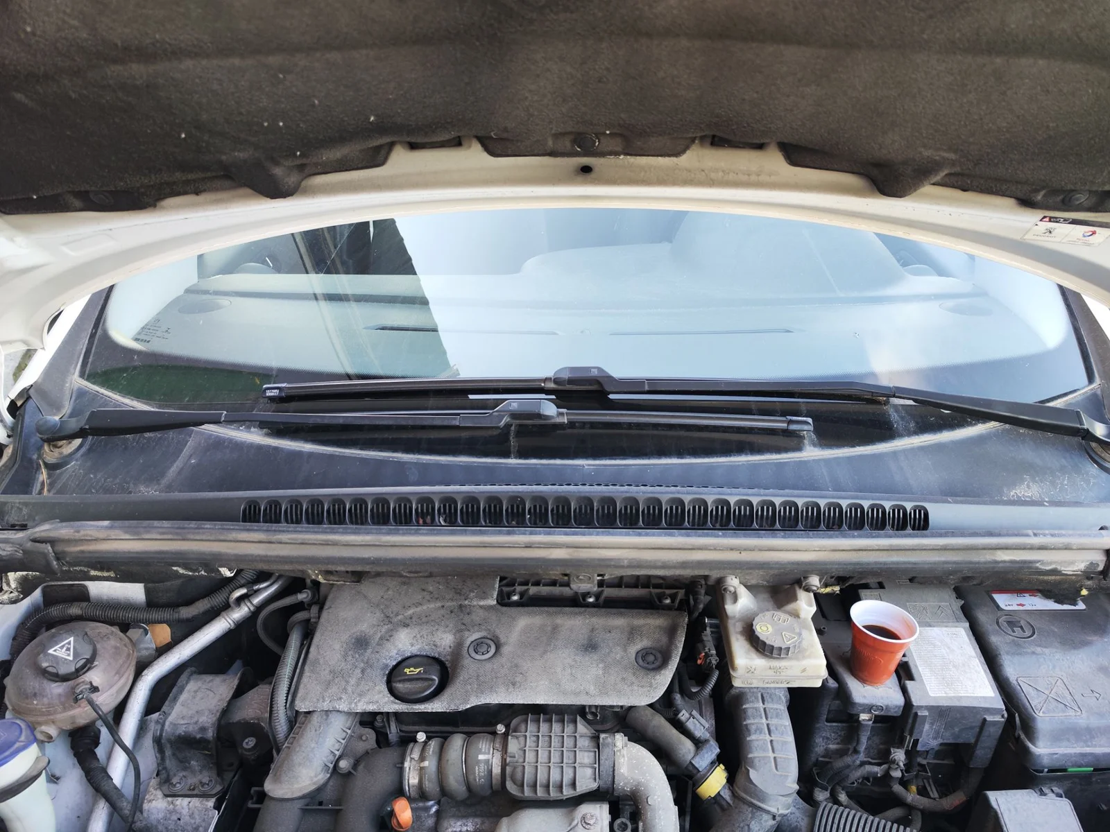 Foto de TORPEDO PEUGEOT 3008 1.6 Blue-HDI FAP (120 CV / 88 KW)