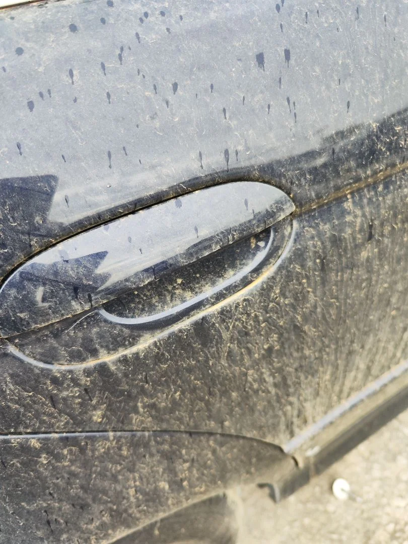 Foto de MANETA EXTERIOR TRASERA DERECHA BMW SERIE 5 BERLINA (E39) 3.0 24V Turbodiesel CAT (193 CV / 142 KW)
