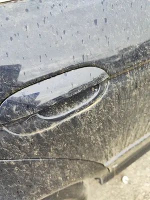 Foto de MANETA EXTERIOR TRASERA DERECHA BMW SERIE 5 BERLINA (E39) 3.0 24V Turbodiesel CAT (193 CV / 142 KW)