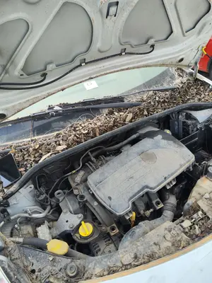 Foto de TORPEDO RENAULT CLIO III 1.2 16V (75 CV / 55 KW)