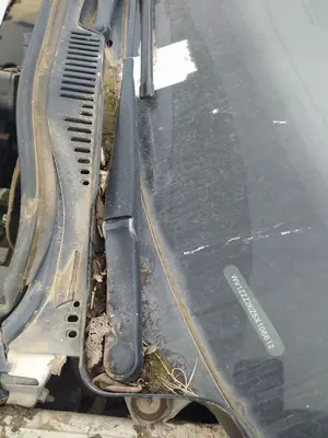 Foto de BRAZO LIMPIA DELANTERO IZQUIERDO VOLKSWAGEN CADDY (2K)(02.2004) 1.9 TDI (105 CV / 77 KW)