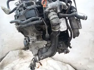 Foto de DESPIECE MOTOR VOLKSWAGEN GOLF VI (5K1)(10.2008) referencia CAY foto 7