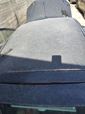 Foto de TECHO PEUGEOT 206 1.4  (75 CV / 55 KW) referencia 8301R6