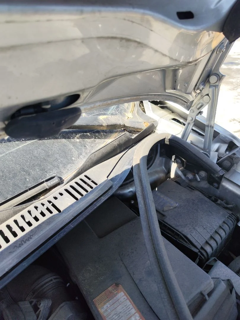 Foto de MOTOR LIMPIA DELANTERO VOLKSWAGEN TOURAN (1T1) 1.9 TDI (105 CV / 77 KW)
