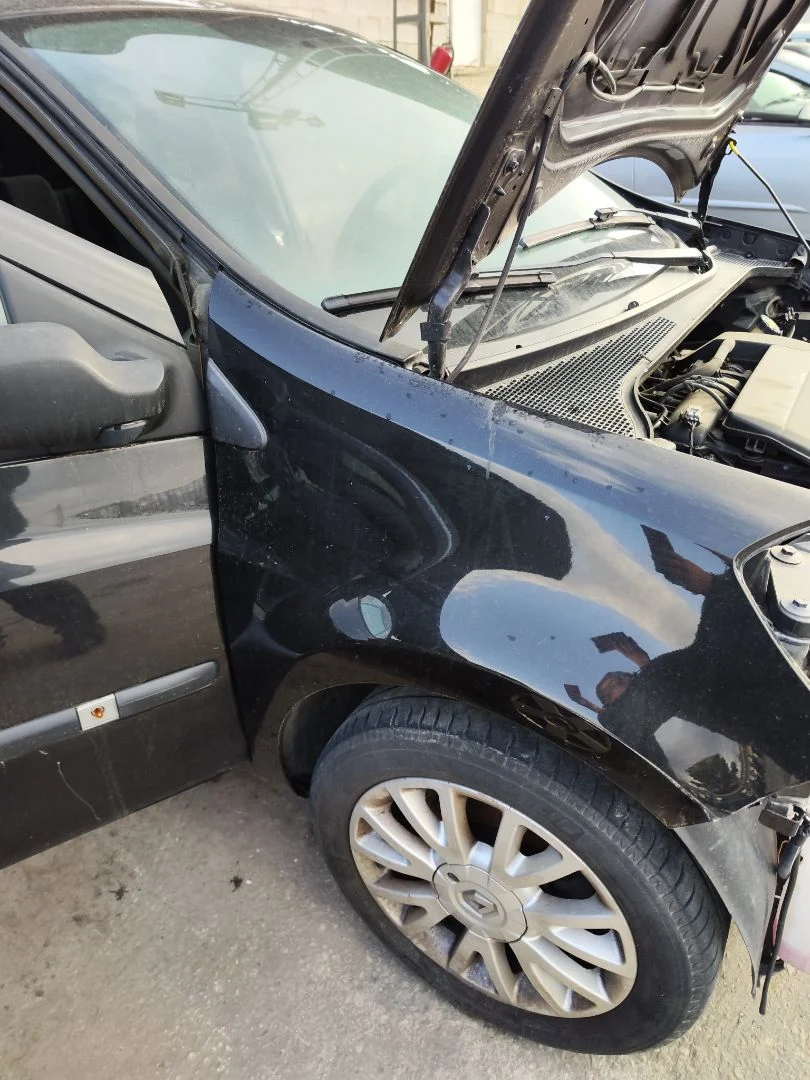 Foto de ALETA DELANTERA DERECHA RENAULT CLIO III 1.2 16V (75 CV / 55 KW)