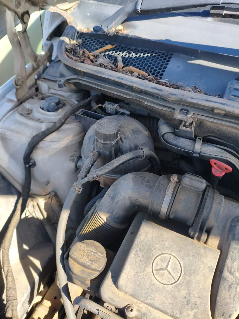 Foto de DEPOSITO EXPANSION MERCEDES-BENZ CLASE B (BM 245) 2.0 CDI CAT (109 CV / 80 KW) referencia A1695000149