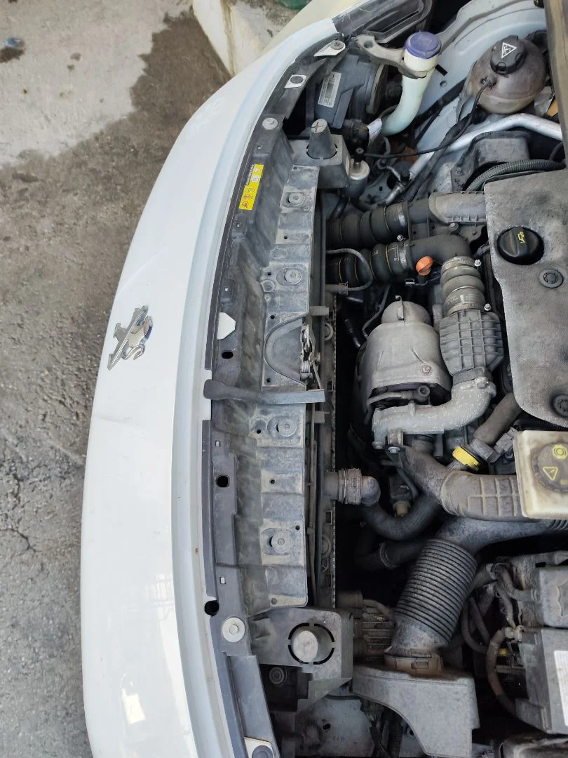 Foto de PANEL FRONTAL PEUGEOT 3008 1.6 Blue-HDI FAP (120 CV / 88 KW)