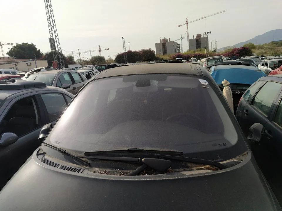 Foto de BRAZO LIMPIA DELANTERO DERECHO RENAULT SCENIC II 1.6 16V (113 CV / 83 KW) referencia 7701061770
