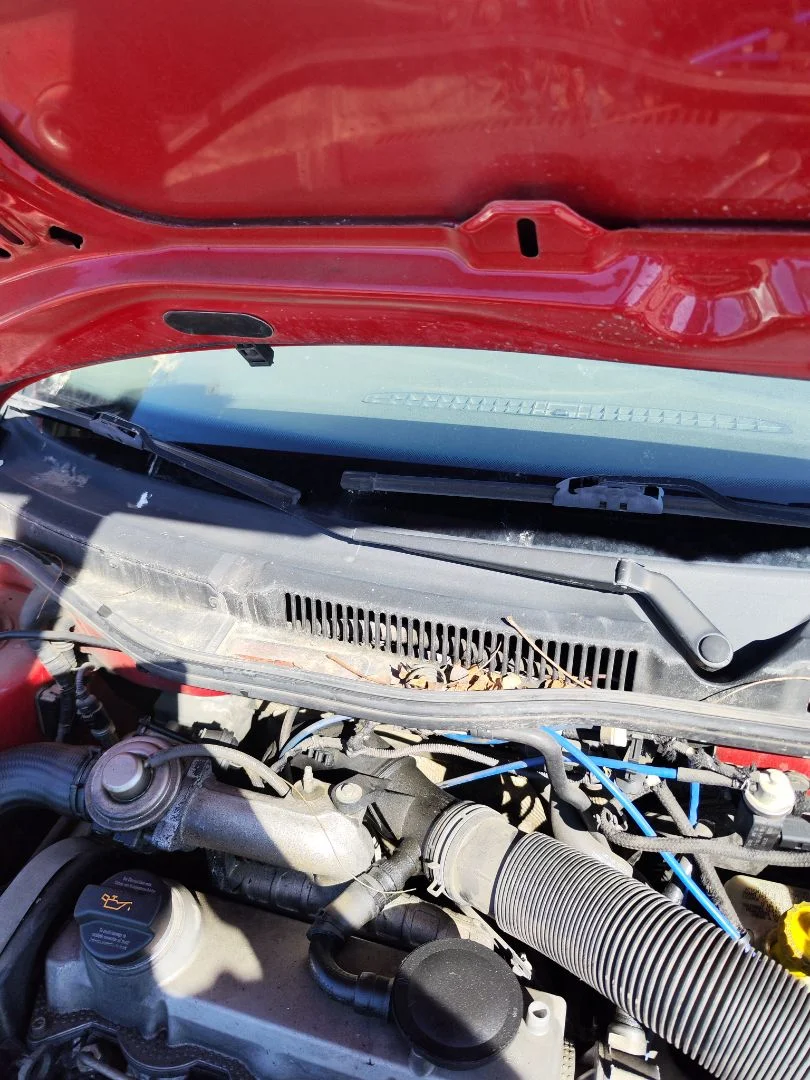 Foto de BRAZO LIMPIA DELANTERO DERECHO VOLKSWAGEN GOLF IV BERLINA (1J1)(10.1997) 1.9 TDI (90 CV / 66 KW)