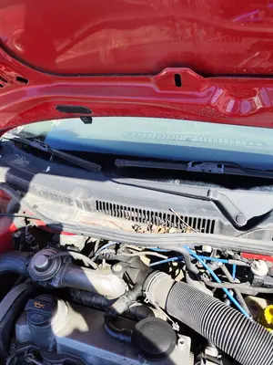 Foto de BRAZO LIMPIA DELANTERO DERECHO VOLKSWAGEN GOLF IV BERLINA (1J1)(10.1997) 1.9 TDI (90 CV / 66 KW)