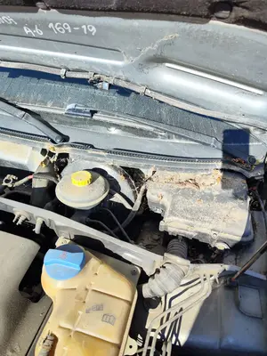 Foto de BRAZO LIMPIA DELANTERO IZQUIERDO AUDI A6 BERLINA (4B2) 2.5 V6 24V TDI (150 CV / 110 KW) referencia 4B1955407A