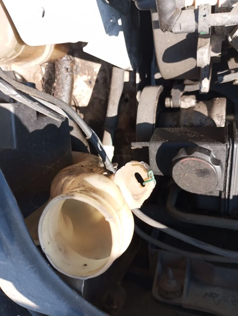 Foto de DEPOSITO LIMPIA CITROEN BERLINGO 1.9 Diesel (69 CV / 51 KW) referencia 6431D4