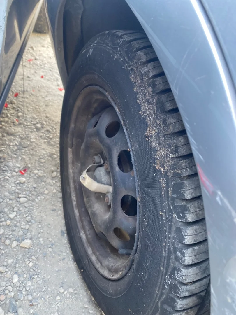 Foto de LLANTA NISSAN ALMERA (N15) 2.0 Diesel (75 CV / 55 KW)