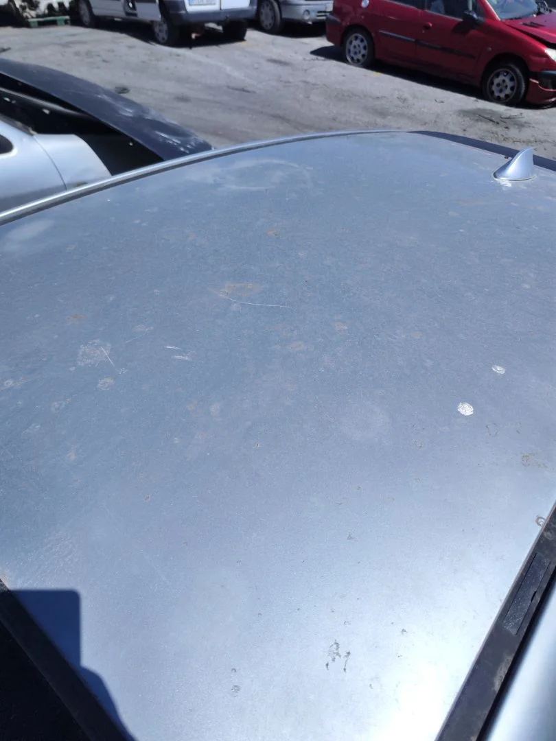 Foto de TECHO CITROEN C4 BERLINA 1.6 16V HDi (90 CV / 66 KW) referencia 8301Q8