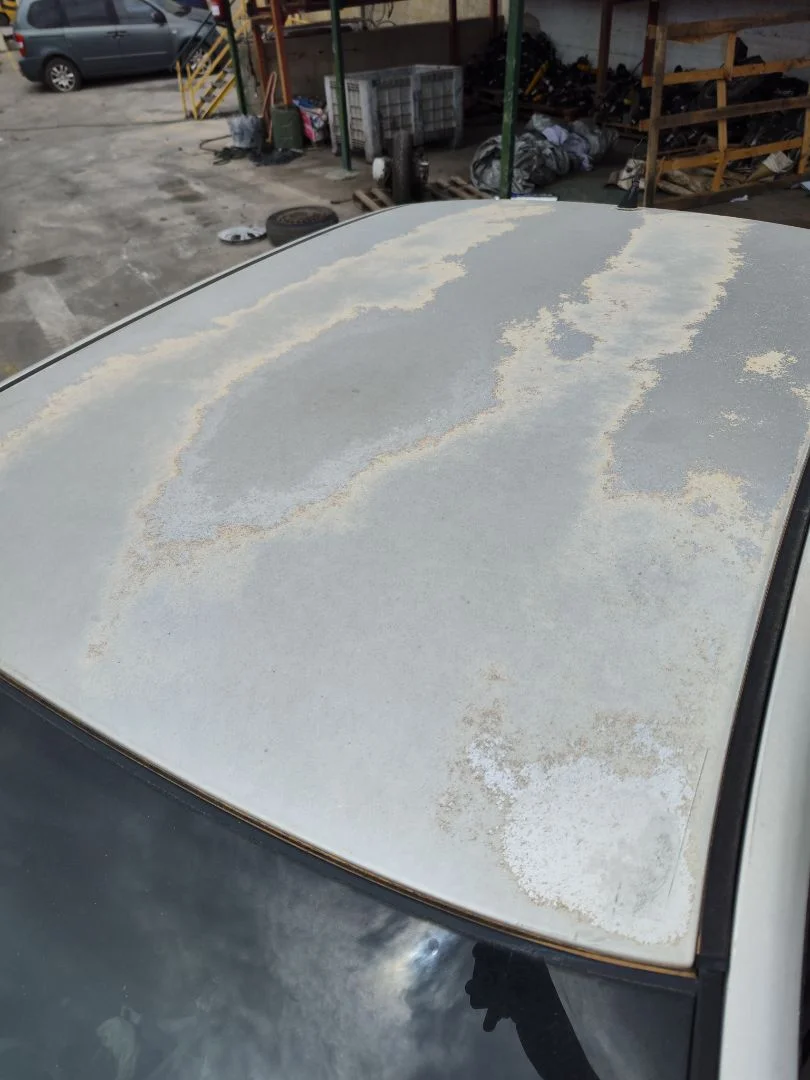 Foto de TECHO SKODA OCTAVIA BERLINA (1U2) 1.9 TDI (90 CV / 66 KW)