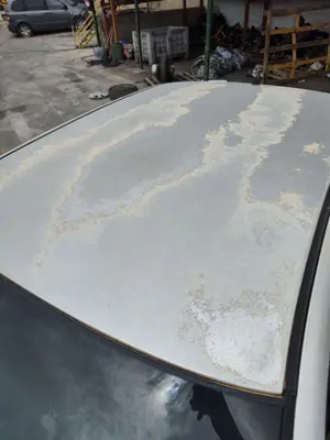 Foto de TECHO SKODA OCTAVIA BERLINA (1U2) 1.9 TDI (90 CV / 66 KW)