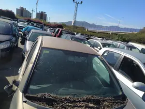 Foto de PARABRISAS CITROEN C3 1.1  (60 CV / 44 KW) referencia 8116Z0