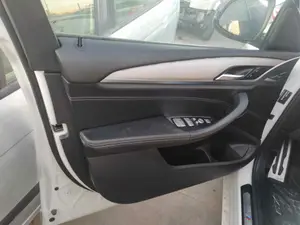 Foto de GUARNECIDO PUERTA DELANTERA IZQUIERDA BMW SERIE X3 (G01) 3.0 24V Turbodiesel (265 CV / 195 KW) referencia 74102281 foto 2