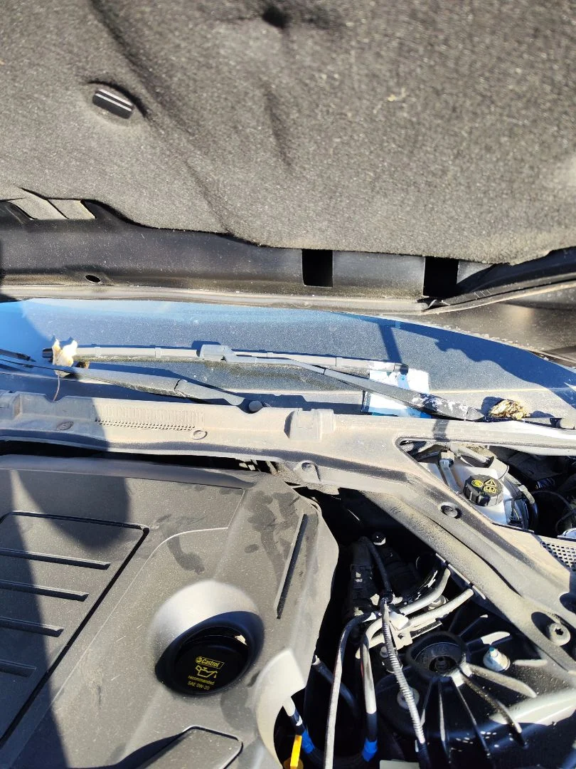 Foto de BRAZO LIMPIA DELANTERO IZQUIERDO JAGUAR XE 2.0 Turbo CAT (200 CV / 147 KW)
