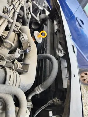 Foto de PANEL FRONTAL VOLKSWAGEN GOLF PLUS V (5M1) 1.9 TDI (105 CV / 77 KW)