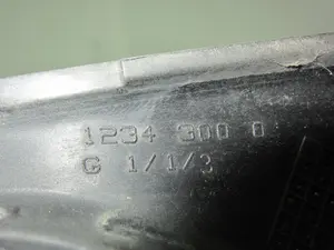 Foto de RETROVISOR IZQUIERDO RENAULT CLIO II FASE II (B/CB0) 1.5 dCi Diesel (68 CV / 50 KW) referencia 1234300 foto 3