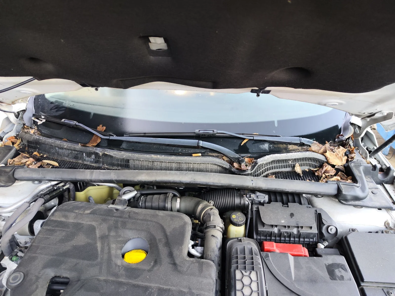 Foto de TORPEDO RENAULT TALISMAN SPORT TOURER 1.6 dCi Diesel FAP Energy (131 CV / 96 KW) referencia 668110099R