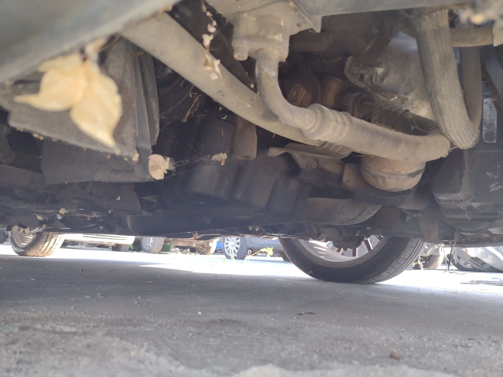 Foto de PUENTE DELANTERO ALFA ROMEO GT (125) 1.9 JTD (M) 16V CAT (150 CV / 110 KW) referencia 0051748952
