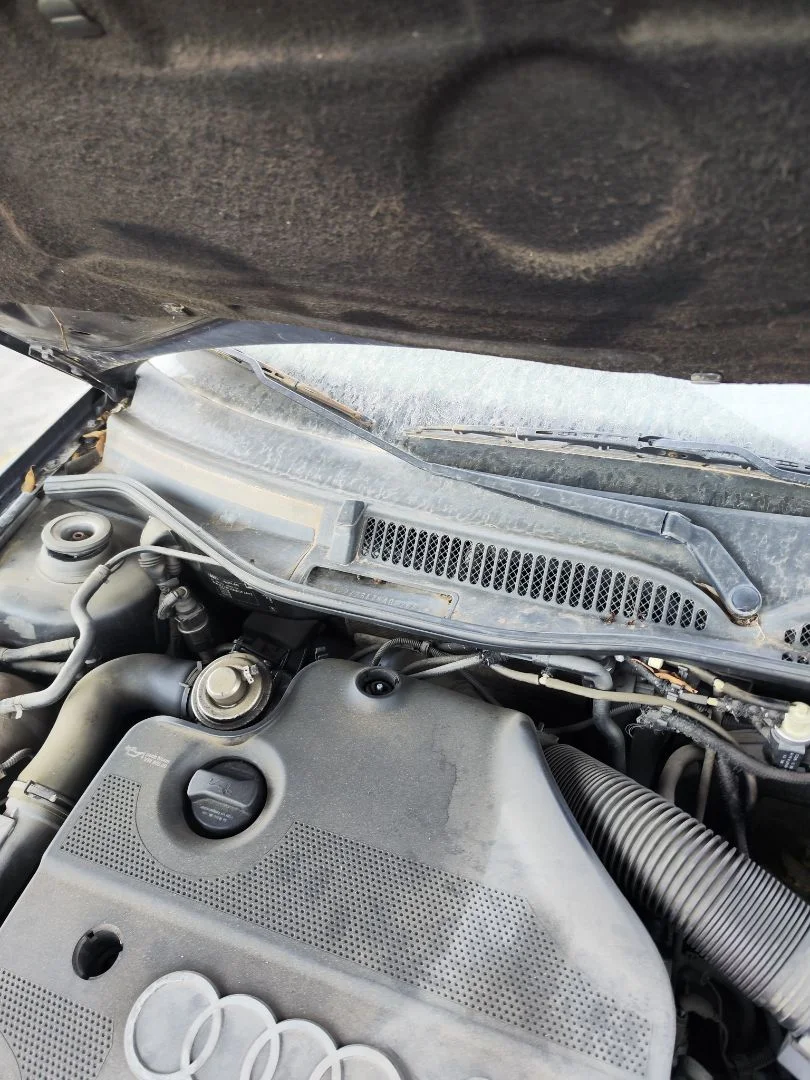 Foto de BRAZO LIMPIA DELANTERO DERECHO AUDI A3 (8L) 1.9 TDI (110 CV / 81 KW) referencia 1J1955410G