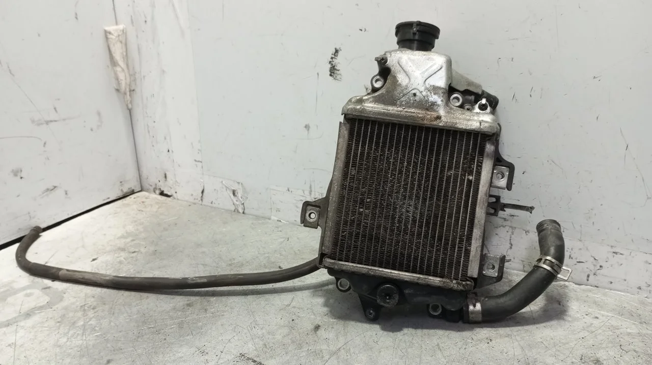 Foto de RADIADOR AGUA HONDA FORZA NSS 125 125 cm3 - 11 kW (15 CV / 11 KW) referencia 19100-K40-F00
