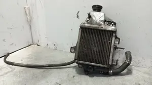 Foto de RADIADOR AGUA HONDA FORZA NSS 125 125 cm3 - 11 kW (15 CV / 11 KW) referencia 19100-K40-F00