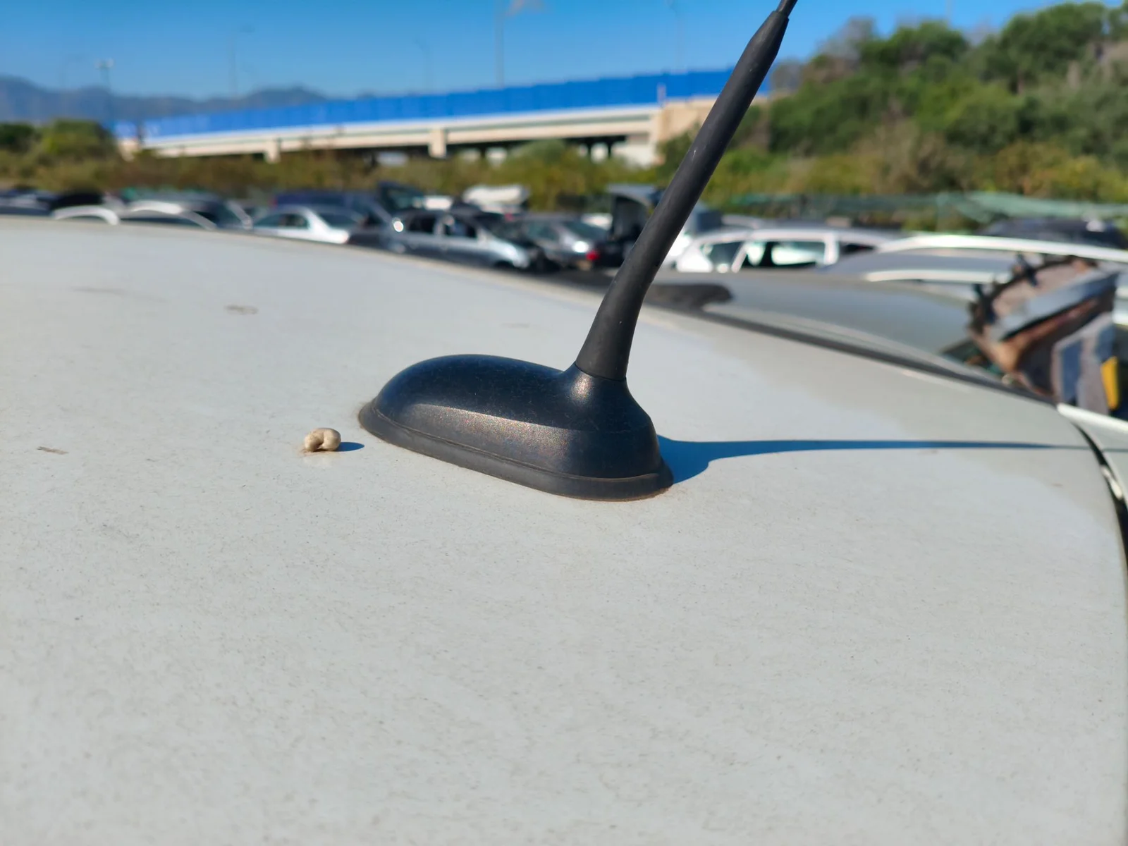 Foto de BASE DE ANTENA MERCEDES-BENZ CLASE B (BM 245) 2.0 CDI CAT (109 CV / 80 KW)
