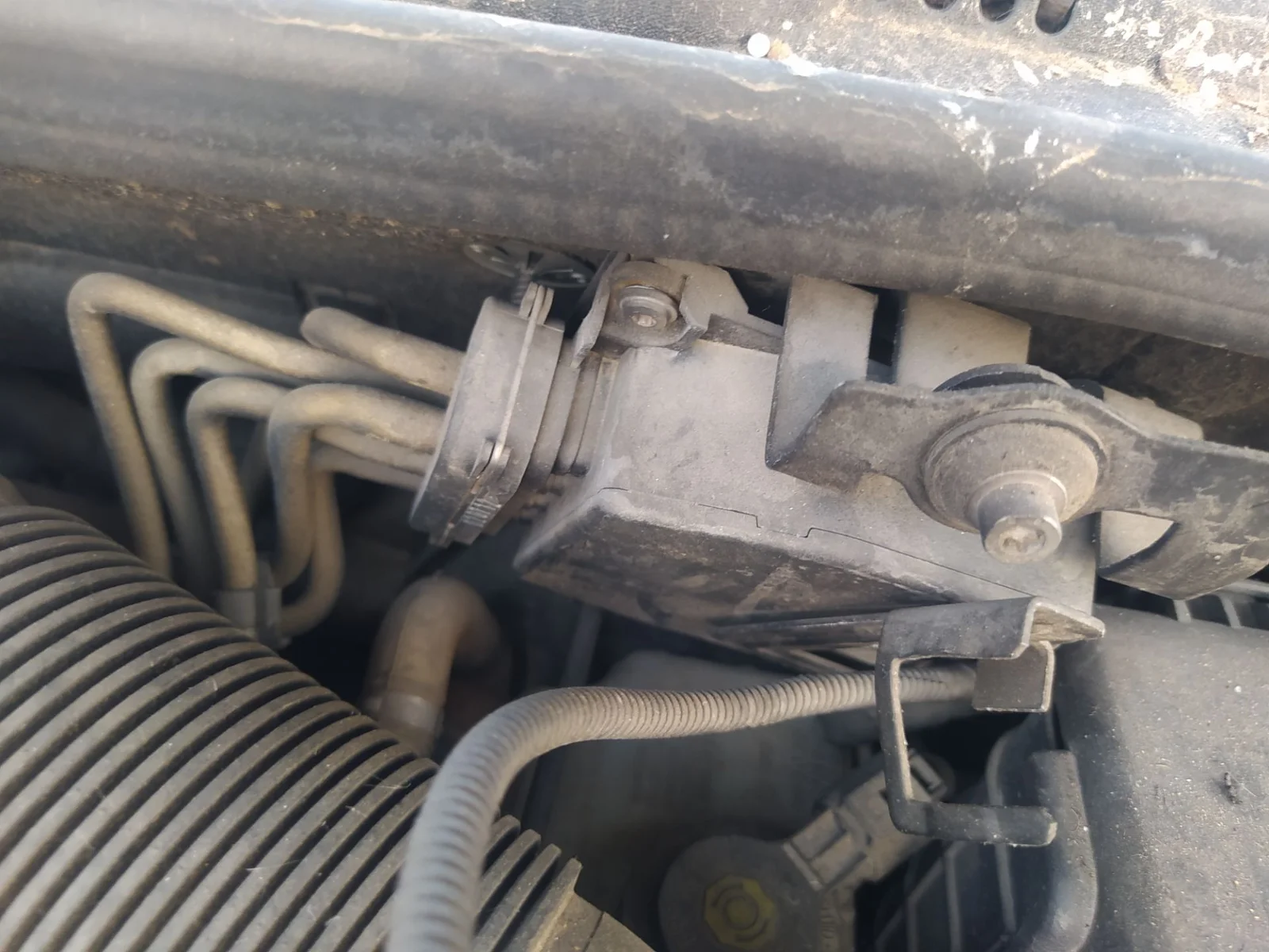 Foto de MOTOR LIMPIA DELANTERO VOLKSWAGEN GOLF V (1K1)(10.2003) 1.9 TDI (105 CV / 77 KW) referencia 1Q1955119C