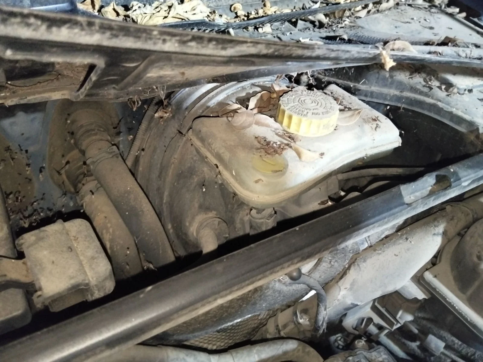 Foto de BOMBA FRENO AUDI A4 BERLINA (8E)