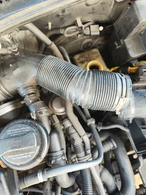 Foto de TUBO AUDI A3 (8L) 1.6  (102 CV / 75 KW)