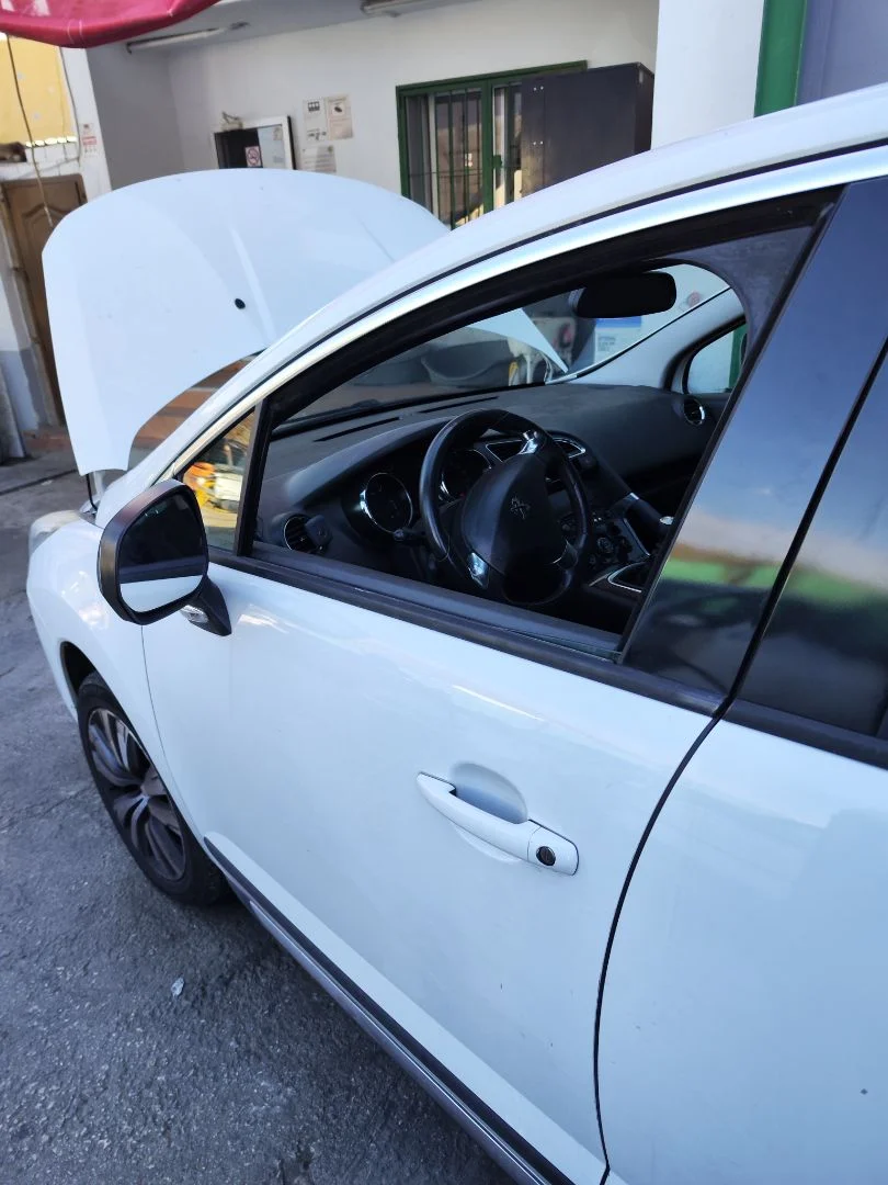 Foto de LUNA DELANTERA IZQUIERDA PEUGEOT 3008 1.6 Blue-HDI FAP (120 CV / 88 KW)