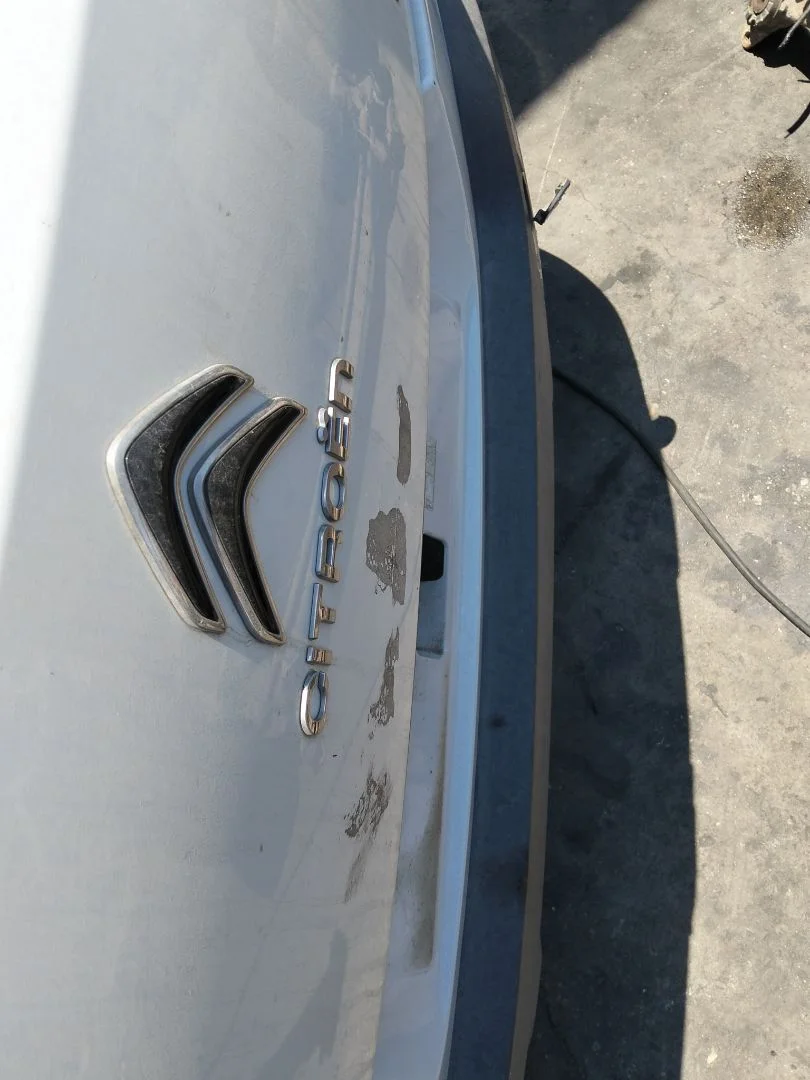 Foto de PANEL TRASERO CITROEN C4 CACTUS 1.2 12V VTi (82 CV / 60 KW)