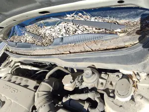Foto de TORPEDO KIA RIO (JB) 1.5 CRDi (110 CV / 81 KW)