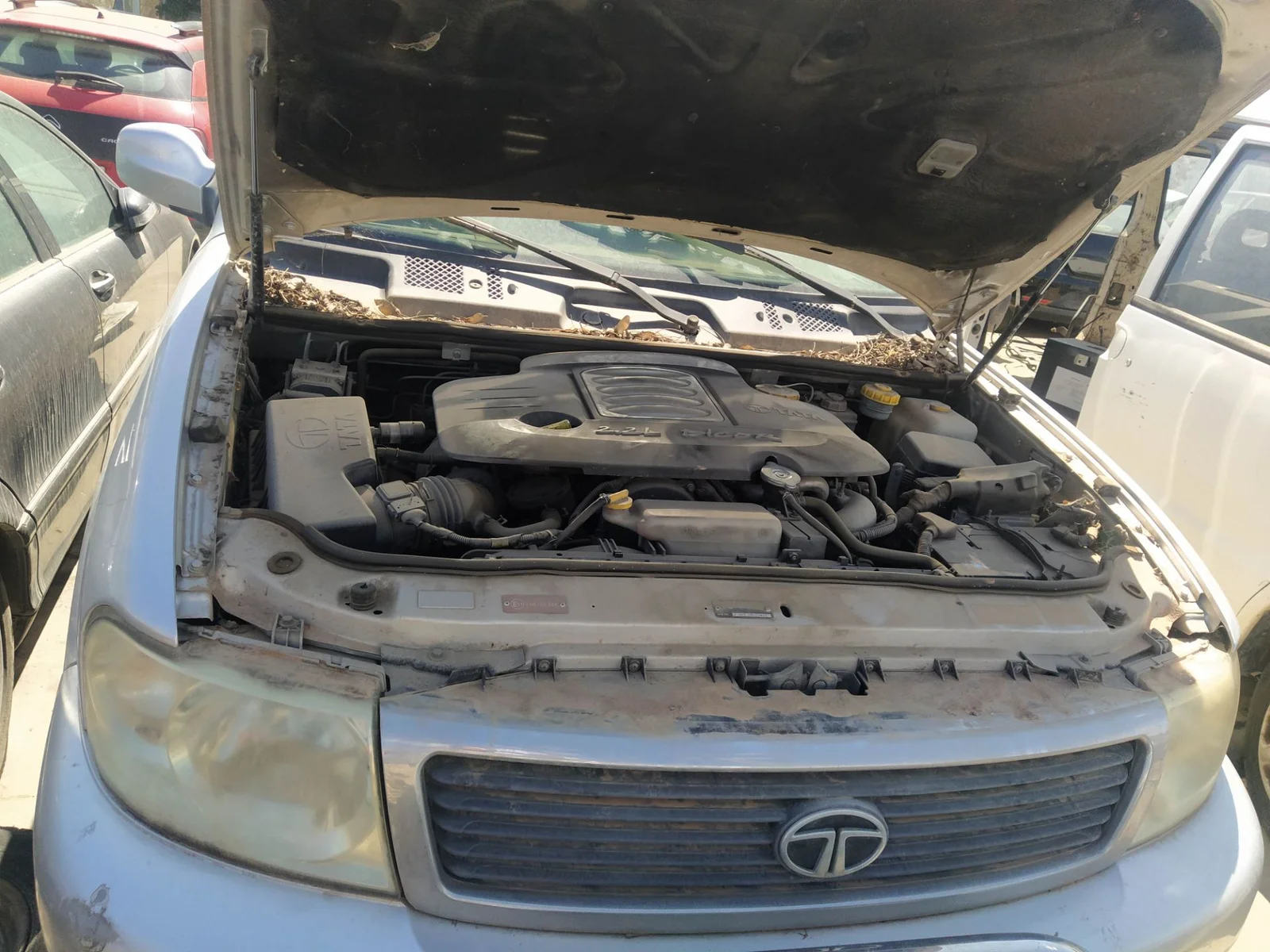 Foto de ALTERNADOR TATA SAFARI (1998) 3.0 TDI (114 CV / 84 KW) referencia 269915400102