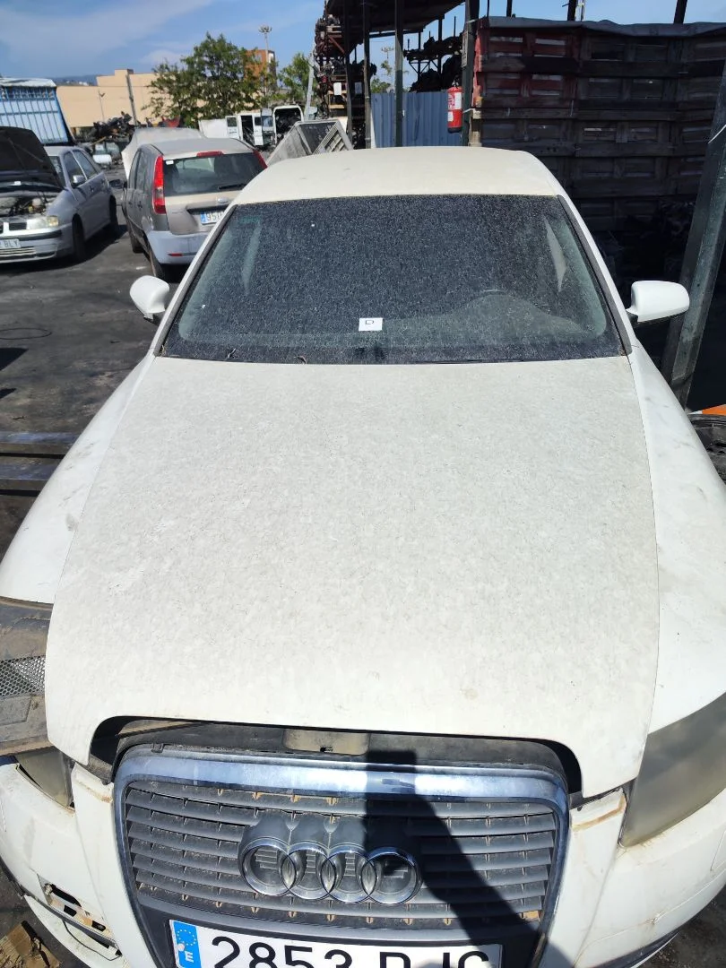 Foto de CAPO AUDI A6 AVANT (4F5) 2.0 16V TFSI (170 CV / 125 KW) referencia 4F0823029F