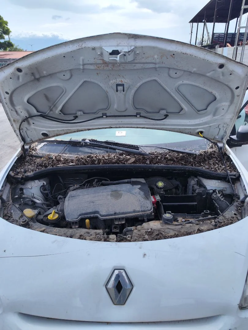 Foto de CAPO RENAULT CLIO III 1.2 16V (75 CV / 55 KW)
