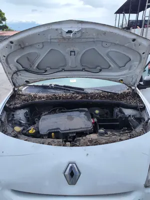 Foto de CAPO RENAULT CLIO III 1.2 16V (75 CV / 55 KW)
