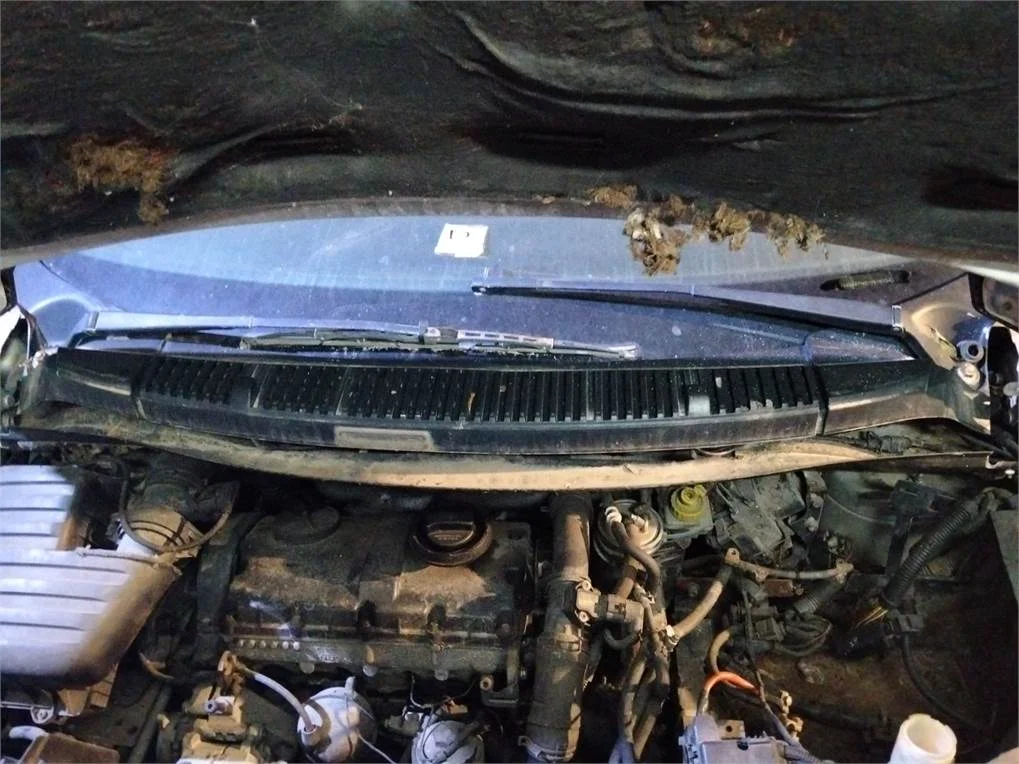 Foto de MOTOR LIMPIA DELANTERO SEAT ALHAMBRA (7V9)
