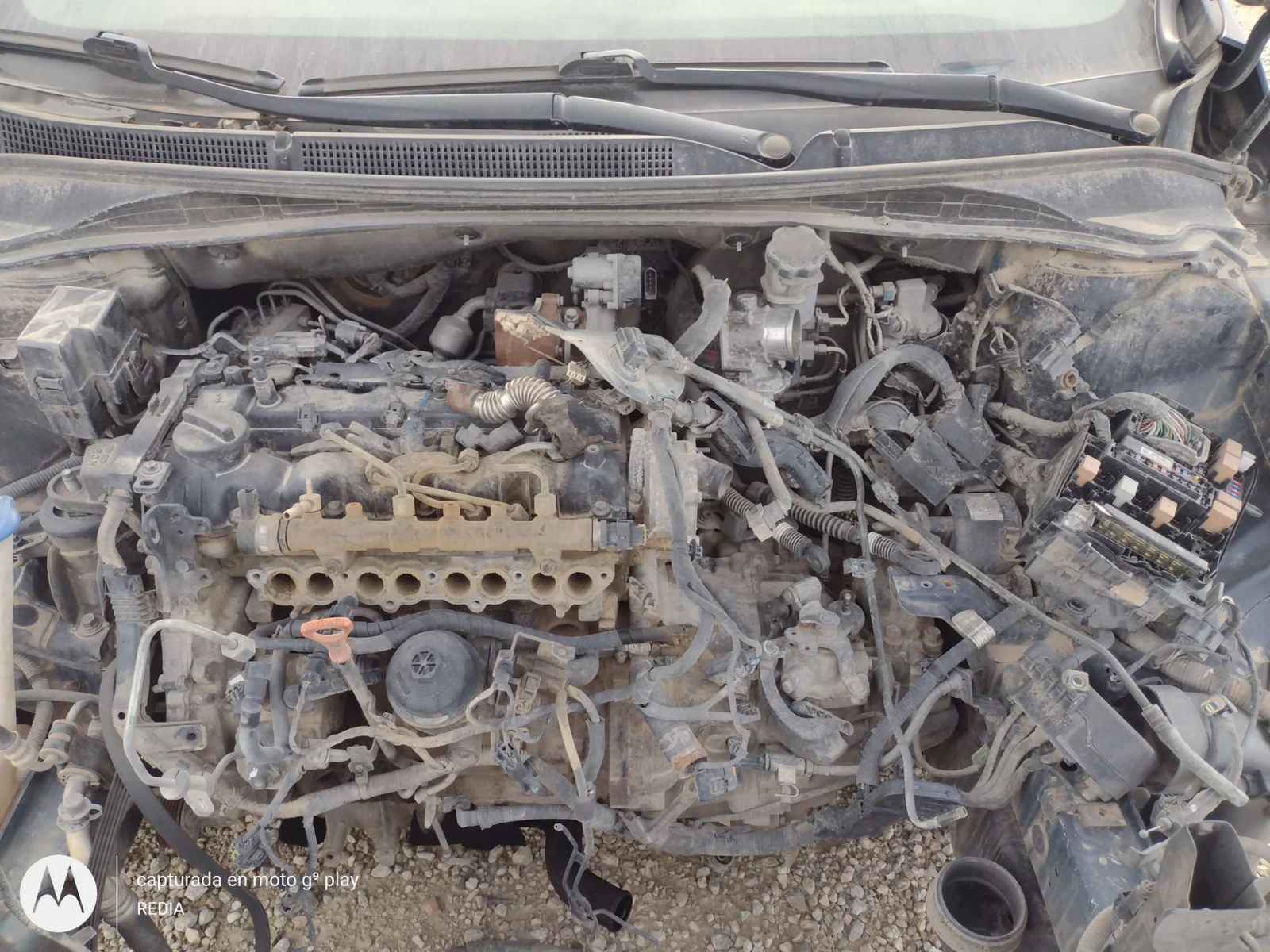 Foto de CABLEADO ELECTRICO HYUNDAI I40 (VF) 1.7 CRDi CAT (136 CV / 100 KW) referencia 914003Z080