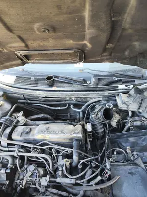 Foto de TORPEDO FORD MONDEO BERLINA (GD) 1.8 Turbodiesel CAT (90 CV / 66 KW)
