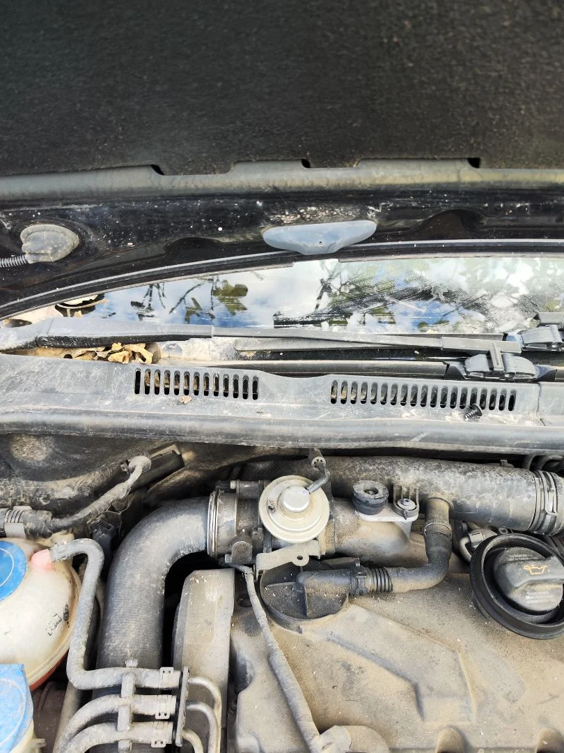 Foto de BRAZO LIMPIA DELANTERO DERECHO VOLKSWAGEN GOLF PLUS V (5M1) 1.9 TDI (105 CV / 77 KW)