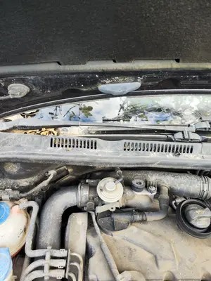 Foto de BRAZO LIMPIA DELANTERO DERECHO VOLKSWAGEN GOLF PLUS V (5M1) 1.9 TDI (105 CV / 77 KW)